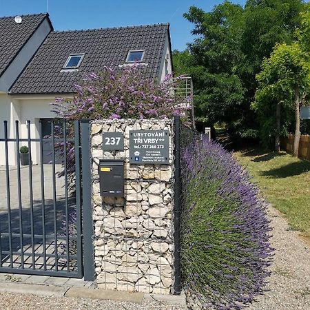 Ubytovani Tri Vrby Pasohlávky Εξωτερικό φωτογραφία
